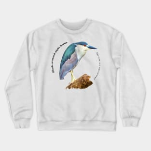 Black-crowned night heron tropical bird pin Crewneck Sweatshirt